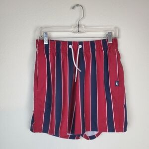 Hollister California Stretch Men's Striped Swim Shorts - Red and Blue